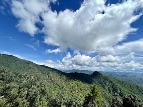 Binsar around Grand oak