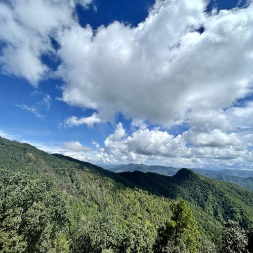 Binsar around Grand oak
